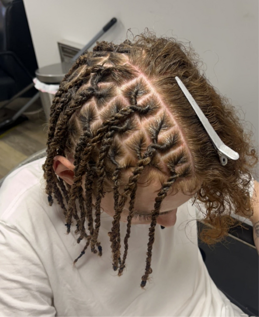Interlock Starter Locs